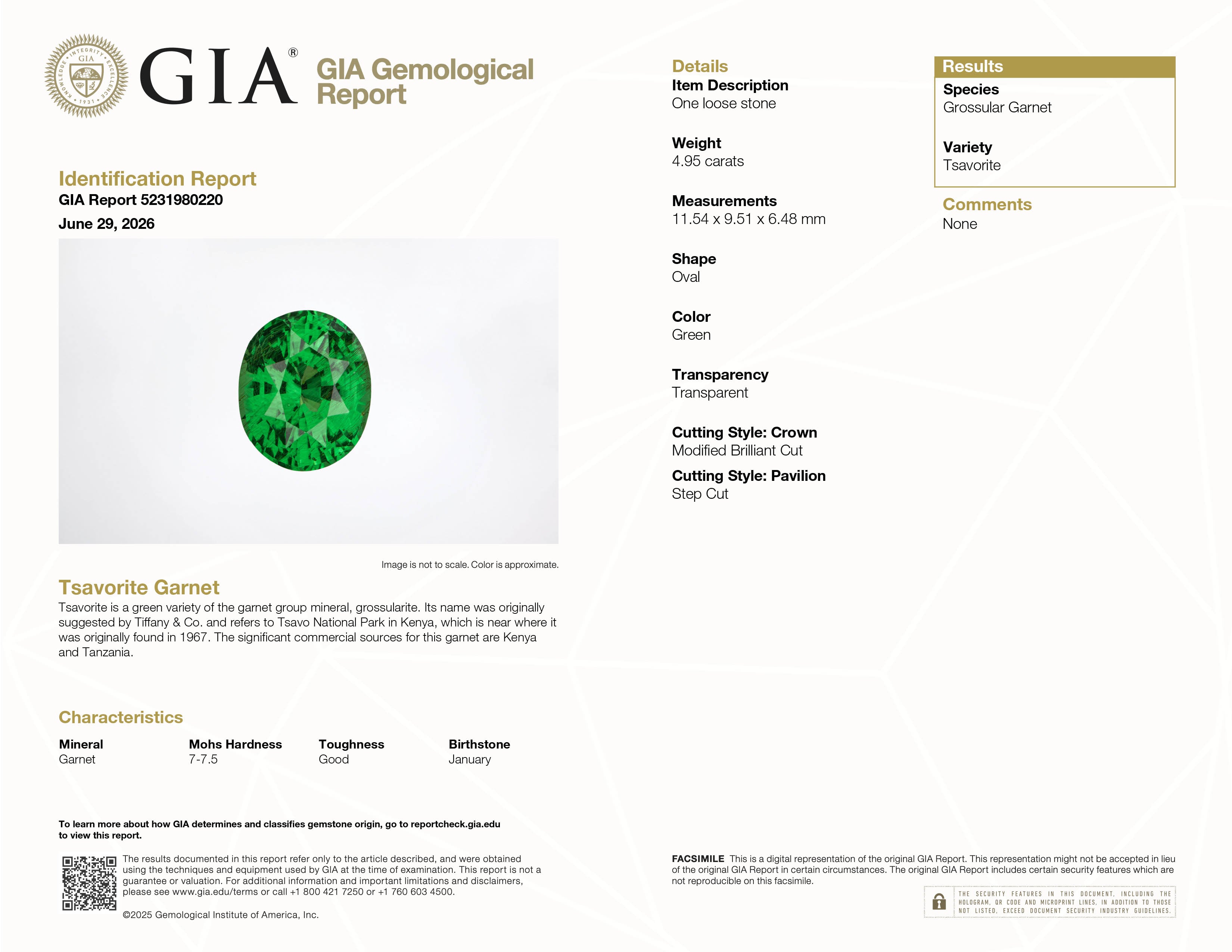 4.95 ct Oval Tsavorite Garnet ~ Untreated, GIA