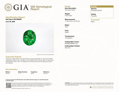 4.95 ct Oval Tsavorite Garnet ~ Untreated, GIA