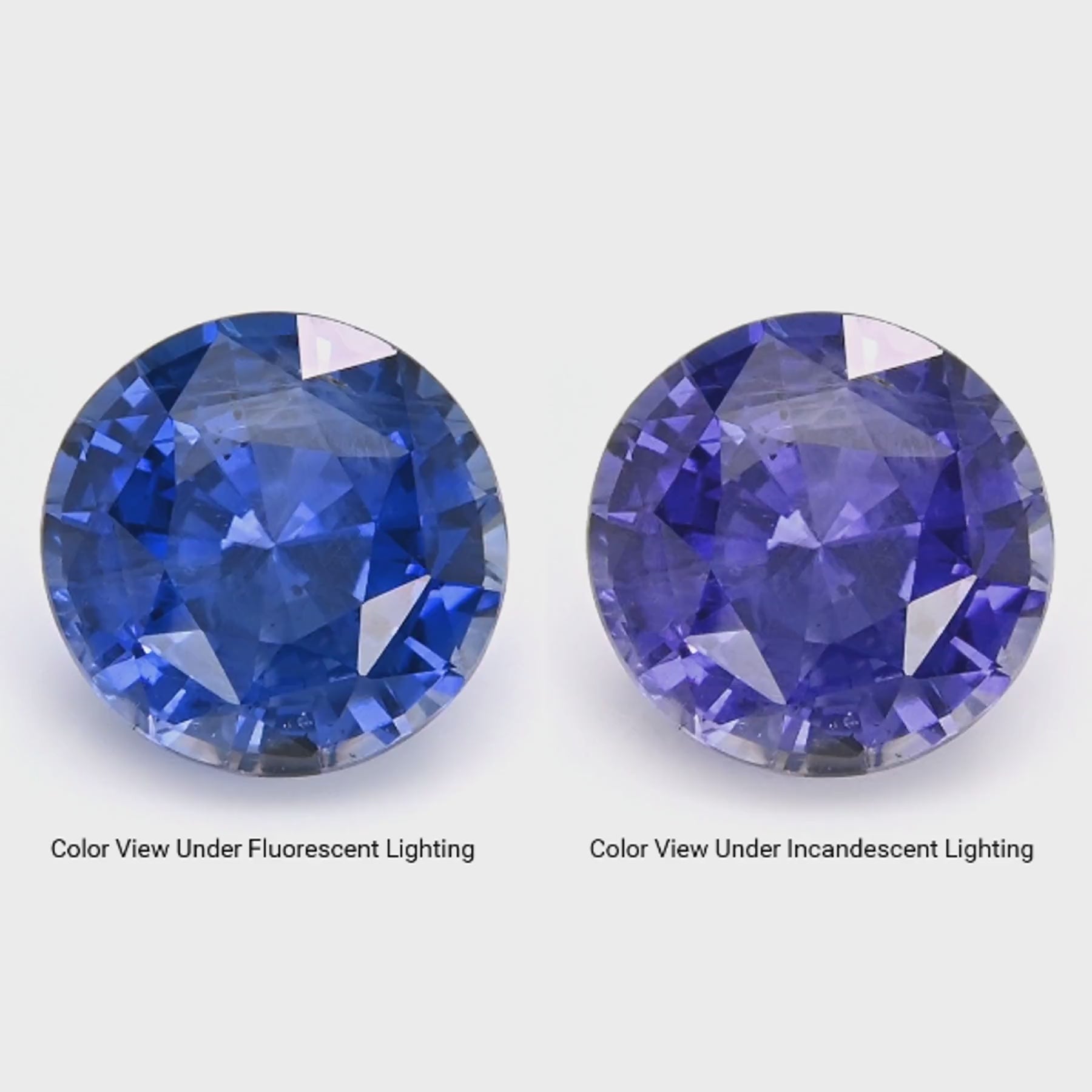 Load video: 5.39 Color Change Blue Sapphire ~ Unheated ~ GIA