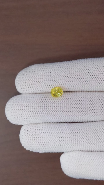 1.71 ct Yellow Sapphire ~ Untreated
