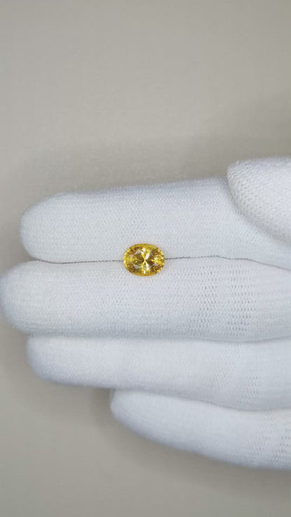 1.52 ct  vivid Yellow Sapphire