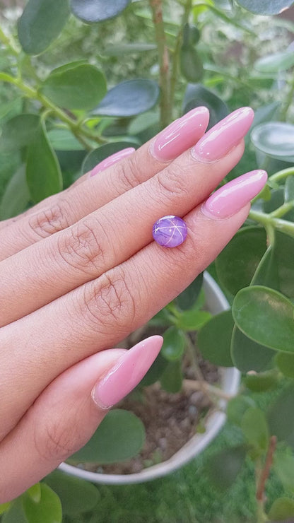 3.26 ct Purple Star Sapphire ~ Untreated