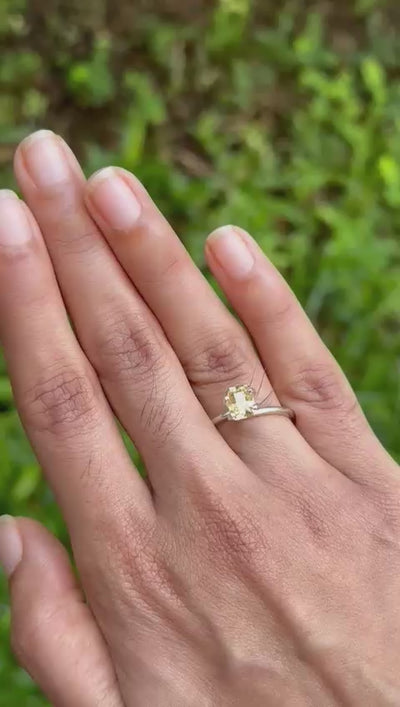1.66 ct natural unheated yellow sapphire video showing clarity and sparkle under light