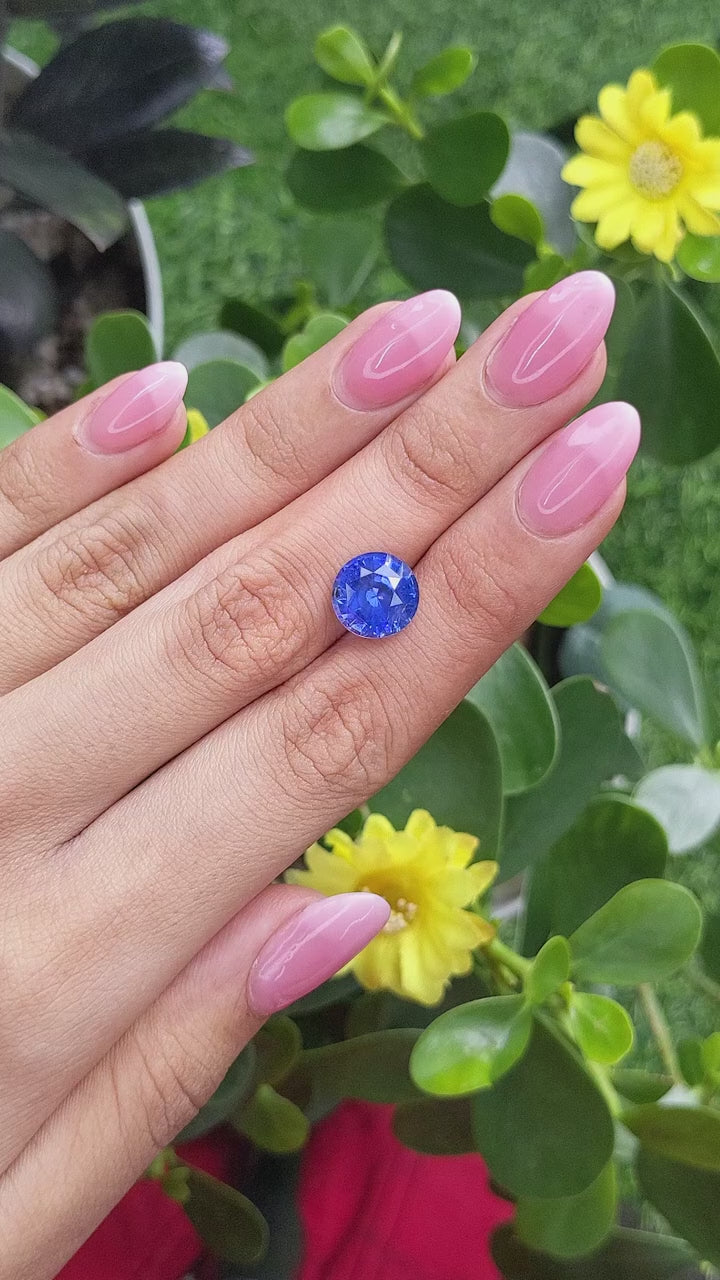 5.39 Color Change Blue Sapphire ~ Unheated ~ GIA