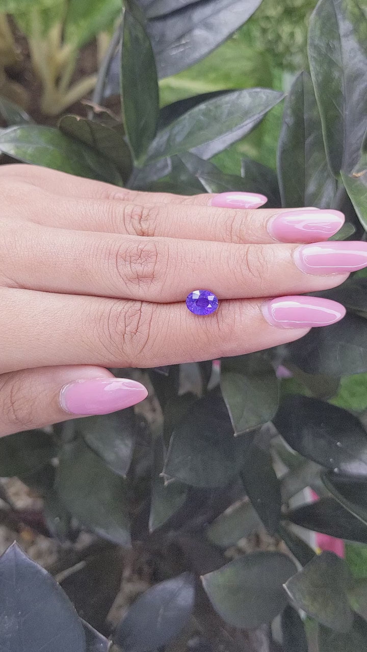 1.53 Ct Violet Sapphire ~ Untreated