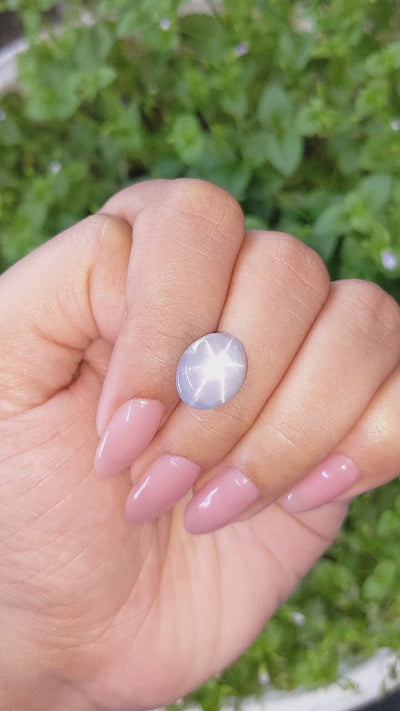 8.08 ct gray Ceylon star sapphire unheated 6 ray star, GIA